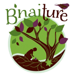 bnaiture-logo