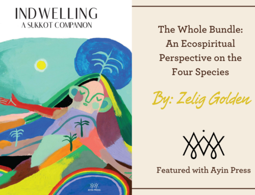 The Whole Bundle: An Ecospiritual Perspective on the Four Species