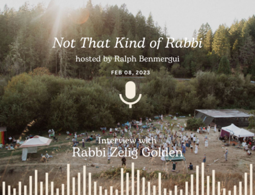 ‘Some bearded person sitting on a throne in the sky is a kindergarten God’: Rabbi Zelig Golden explains earth-based Judaism
