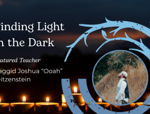 Finding Light in the Dark with Maggid Joshua Reitzenstein