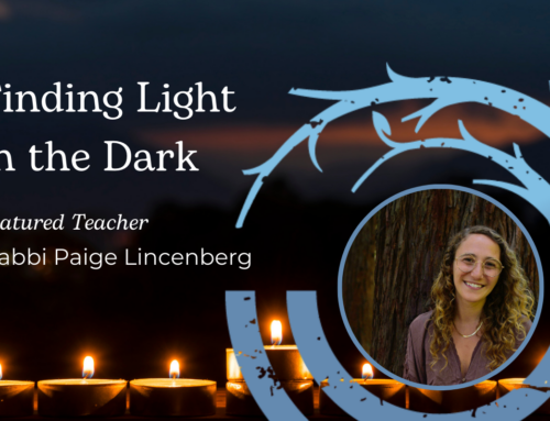 Finding Light in the Dark with Rabbi Paige Lincenberg