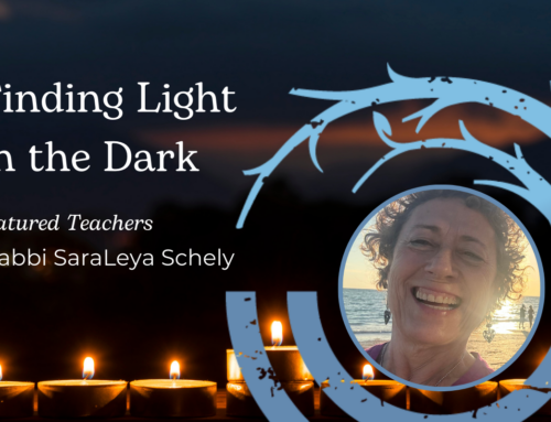 Finding Light in the Dark with Rabbi SaraLeya Schley