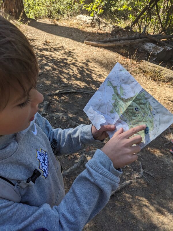 child in woods looking at map