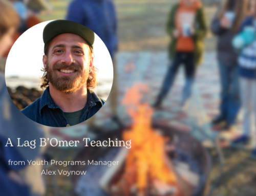 A Fire Teaching for Lag B’Omer