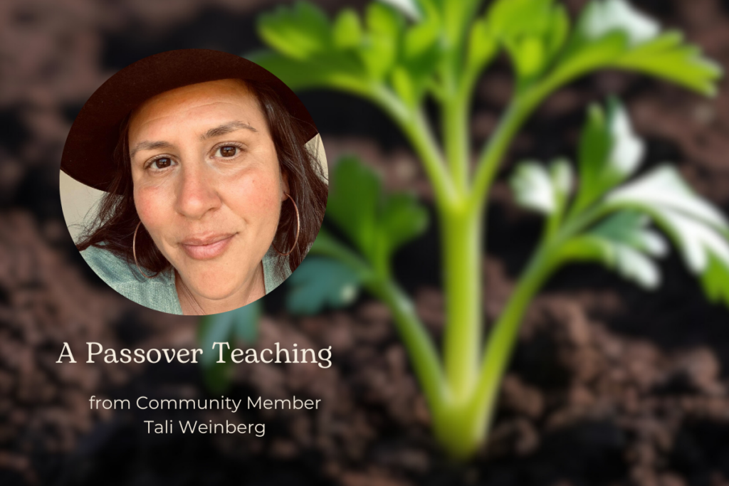 A Passover Teaching (1200 x 800 px)