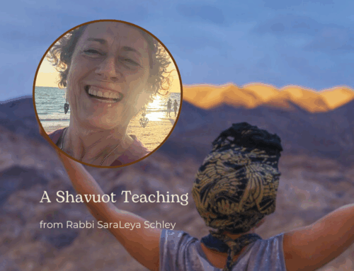 A Shavuot Teaching with Rabbi SaraLeya Schley